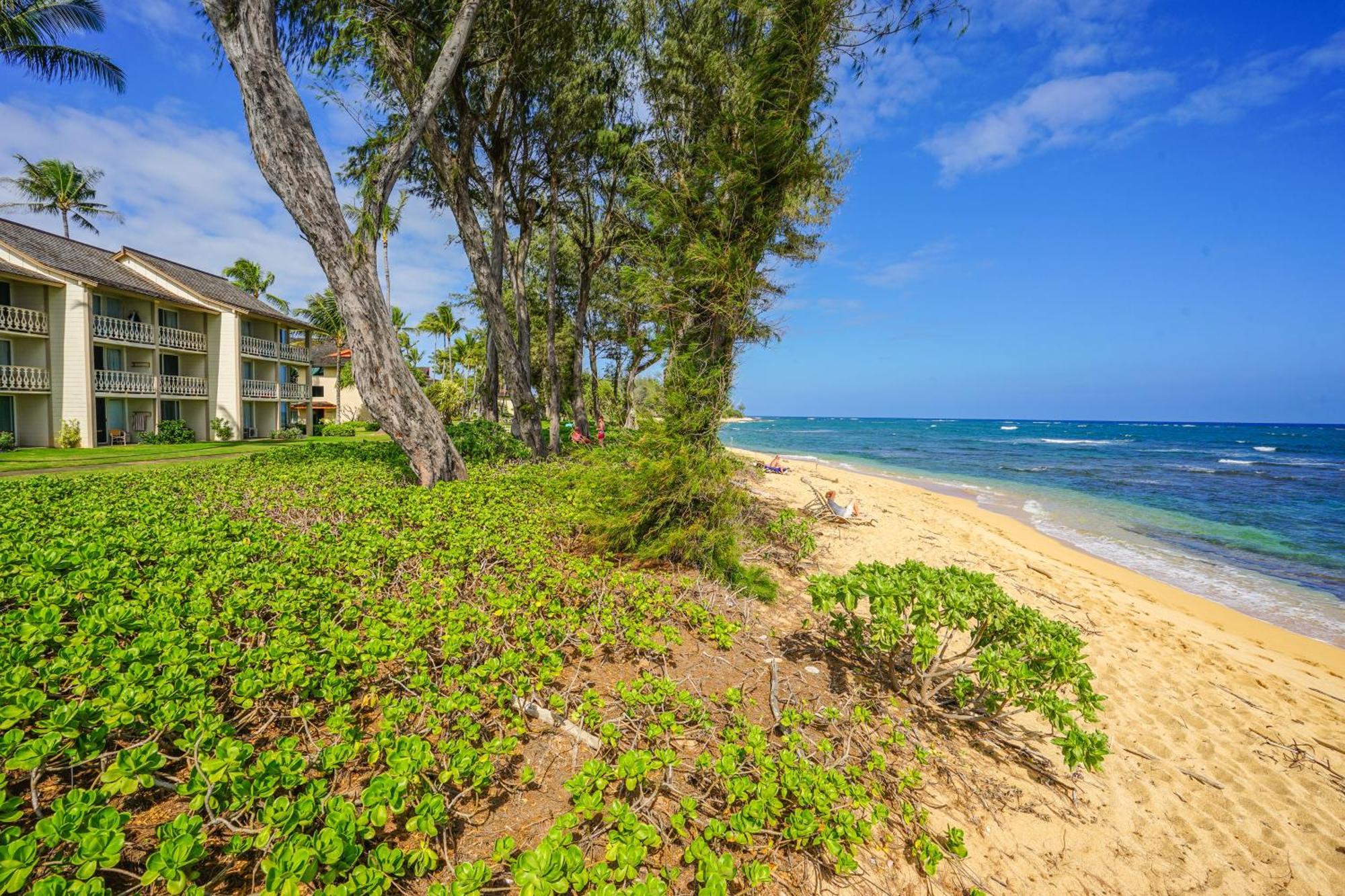 Islander On The Beach Kapa'a Ruang foto